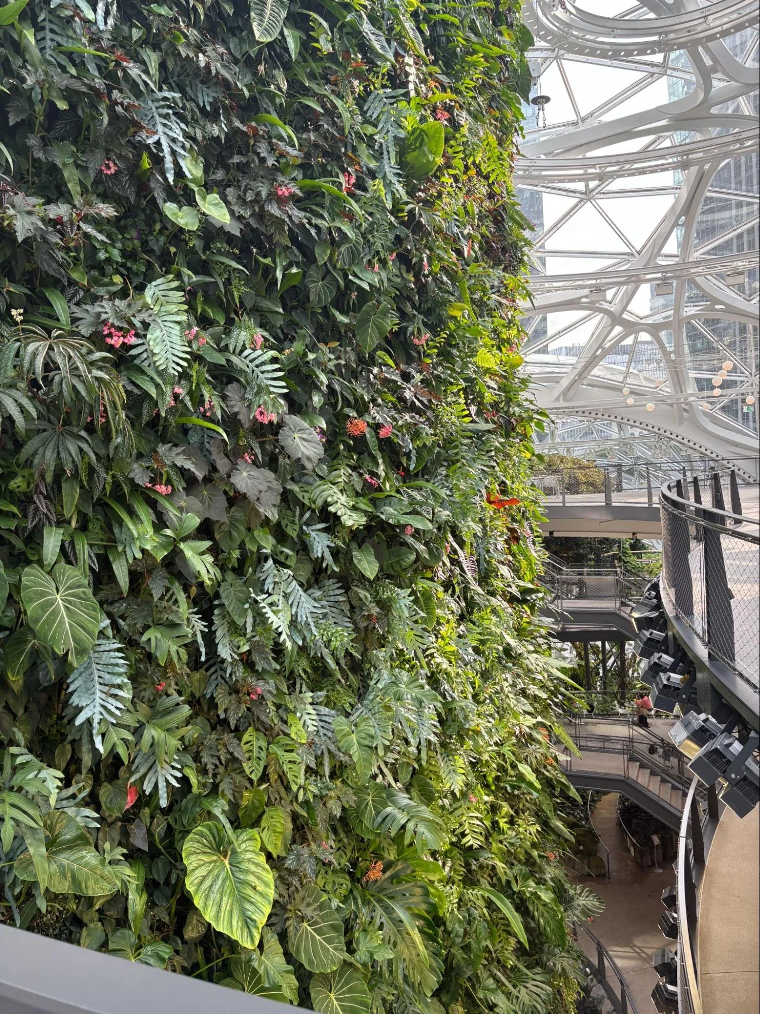 The Amazing Amazon Spheres Project in Seattle | Jennifer Bousselot