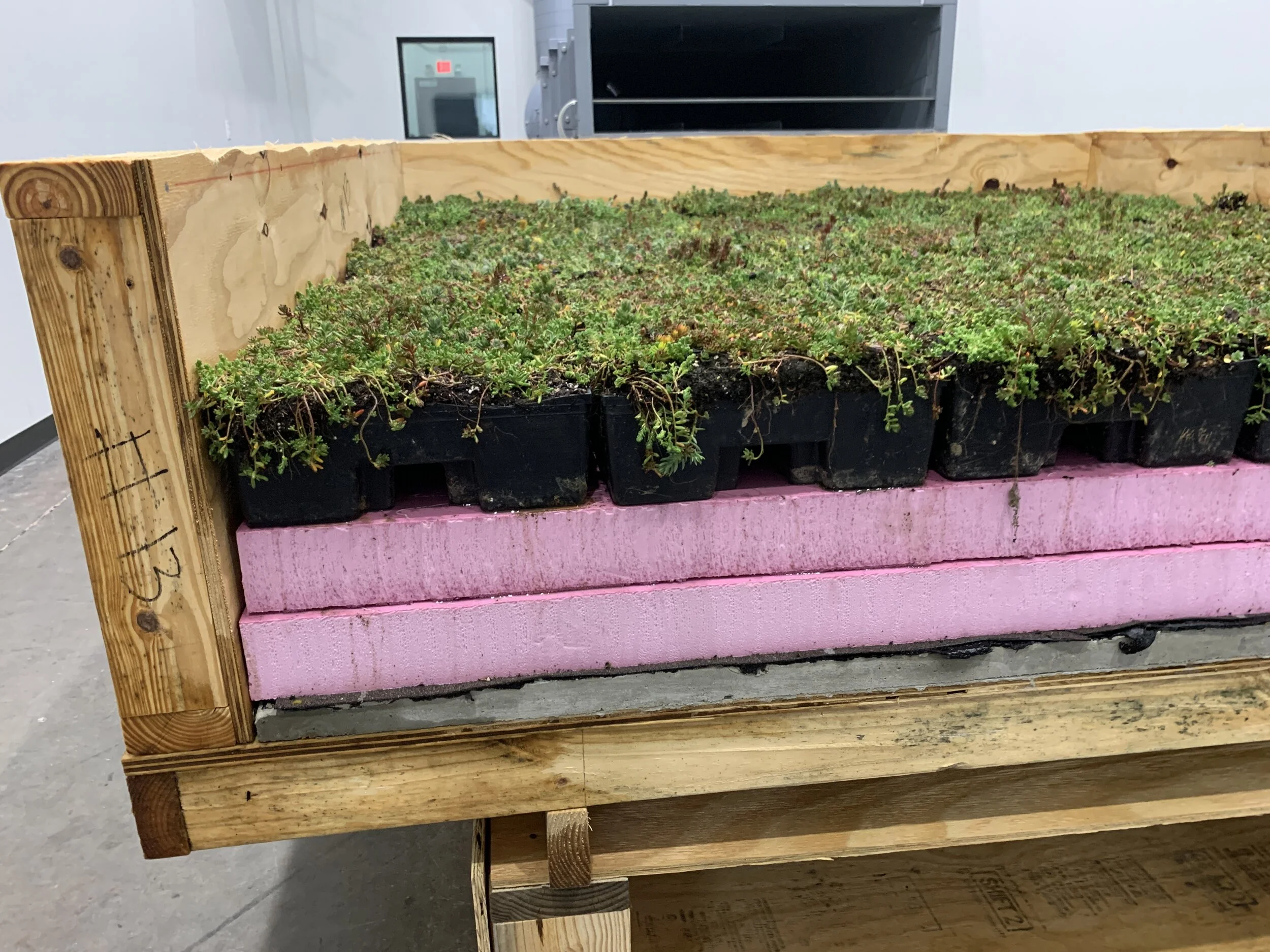 模块化绿色屋顶模型的横截面。