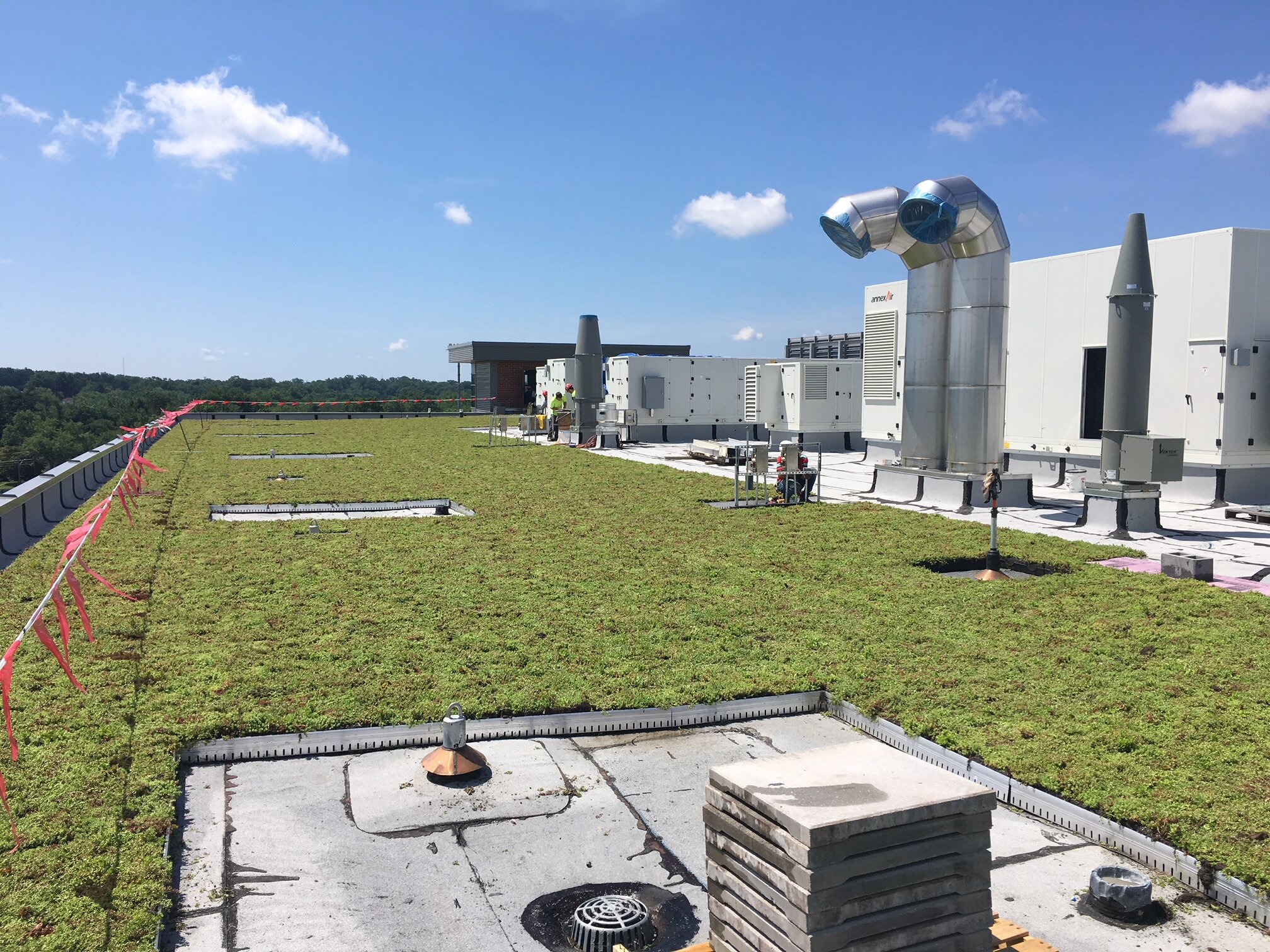 Thomas Edison技术学院,具有LiverBend Greenroofs的LireSoof标准模块
