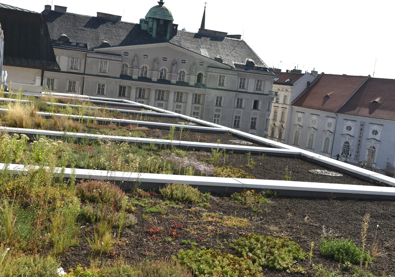 City of Brno Opens Subsidy Program To Fund Green Roofs To Reduce Emissions