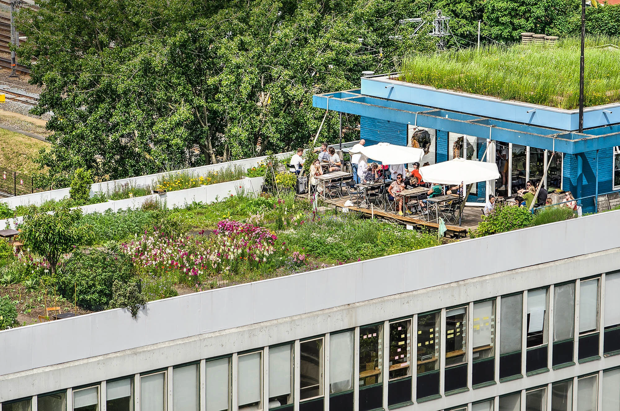 Beautiful, Multifunctional, Impactful, and Cost-Effective: Why Greening Cities Should Be a Pillar of Climate Action