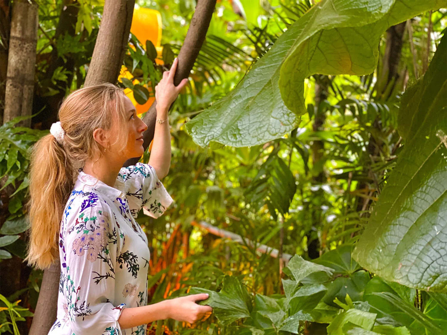 Dr. Nadina Galle on the Internet of Nature