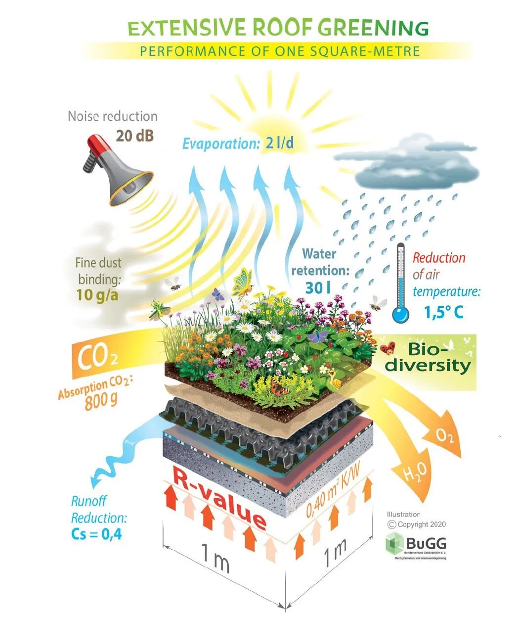 Insight Into Germany’s Green Roof and Wall Market, Trends, and Policy