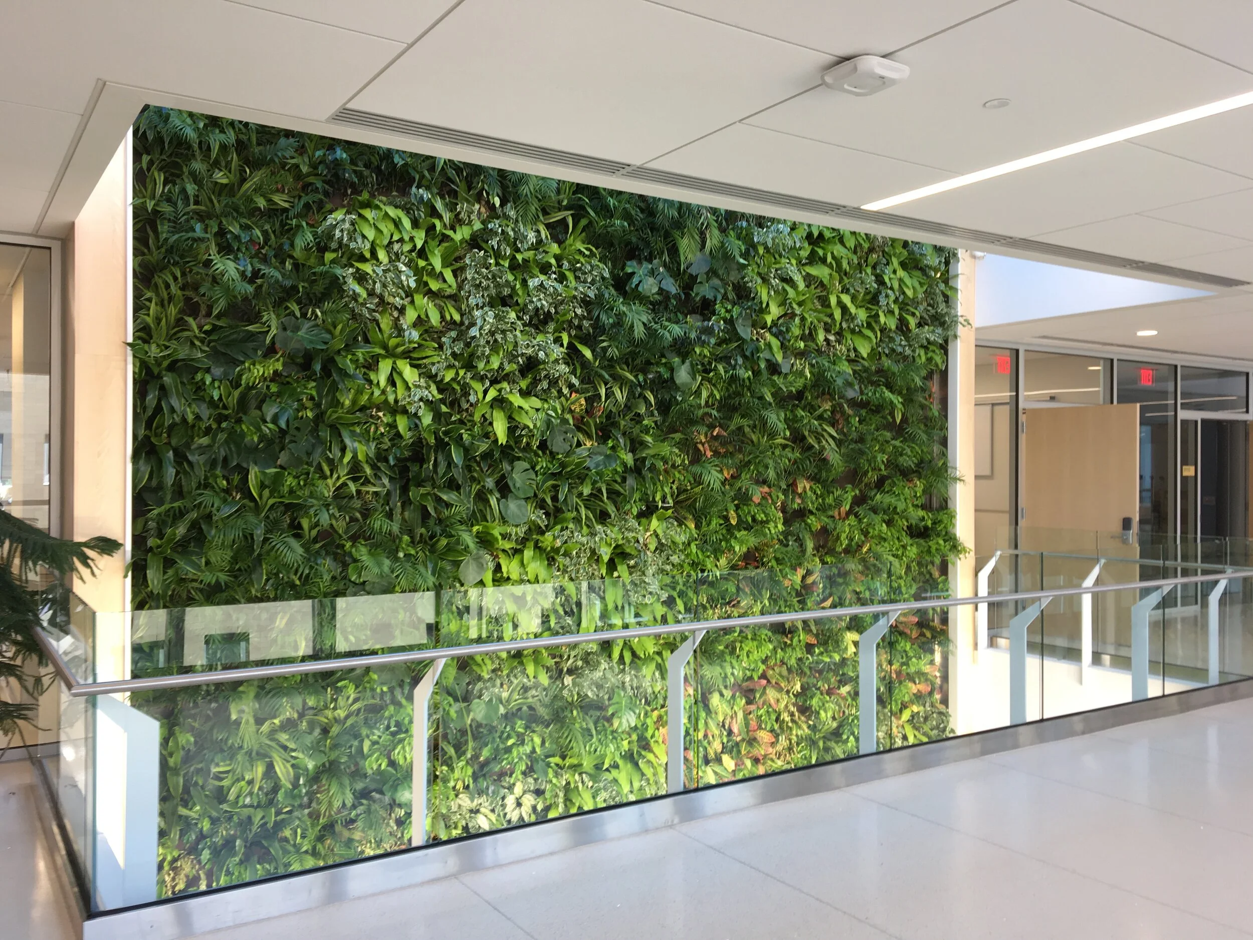 Living Wall_6.JPG