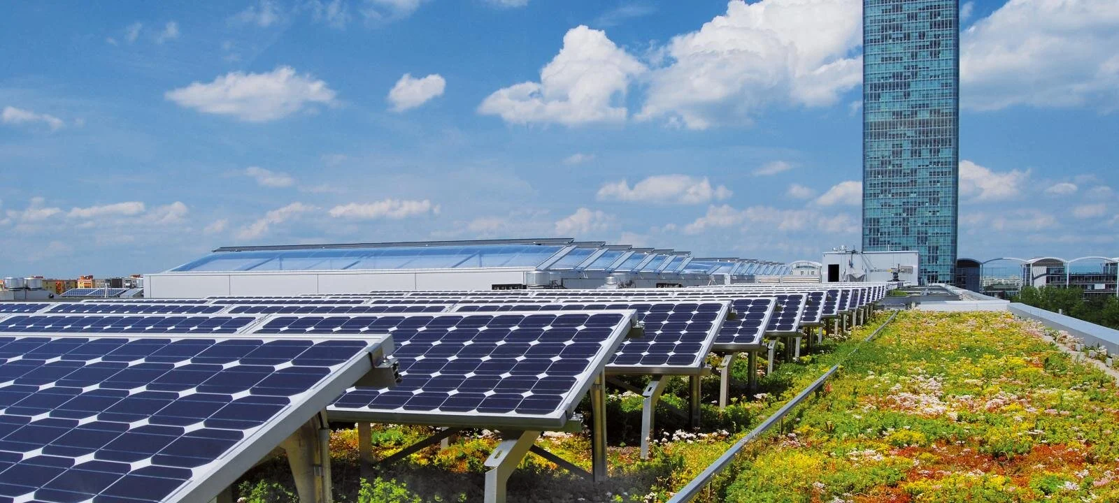 Designing for Maximum Energy and Climate Benefits of Green Roofs