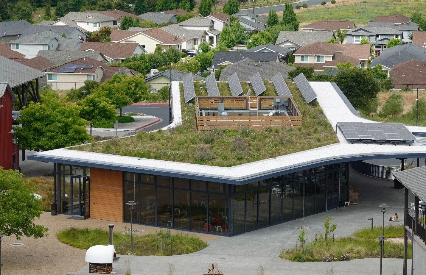 Four Approaches to Making Living Roofs With Native Plants