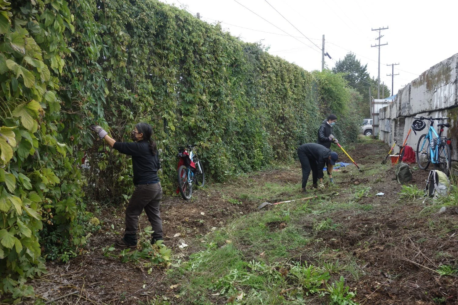 “My Neighborhood Is Killing Me” – A Seattle Green Wall is Raised in Hope
