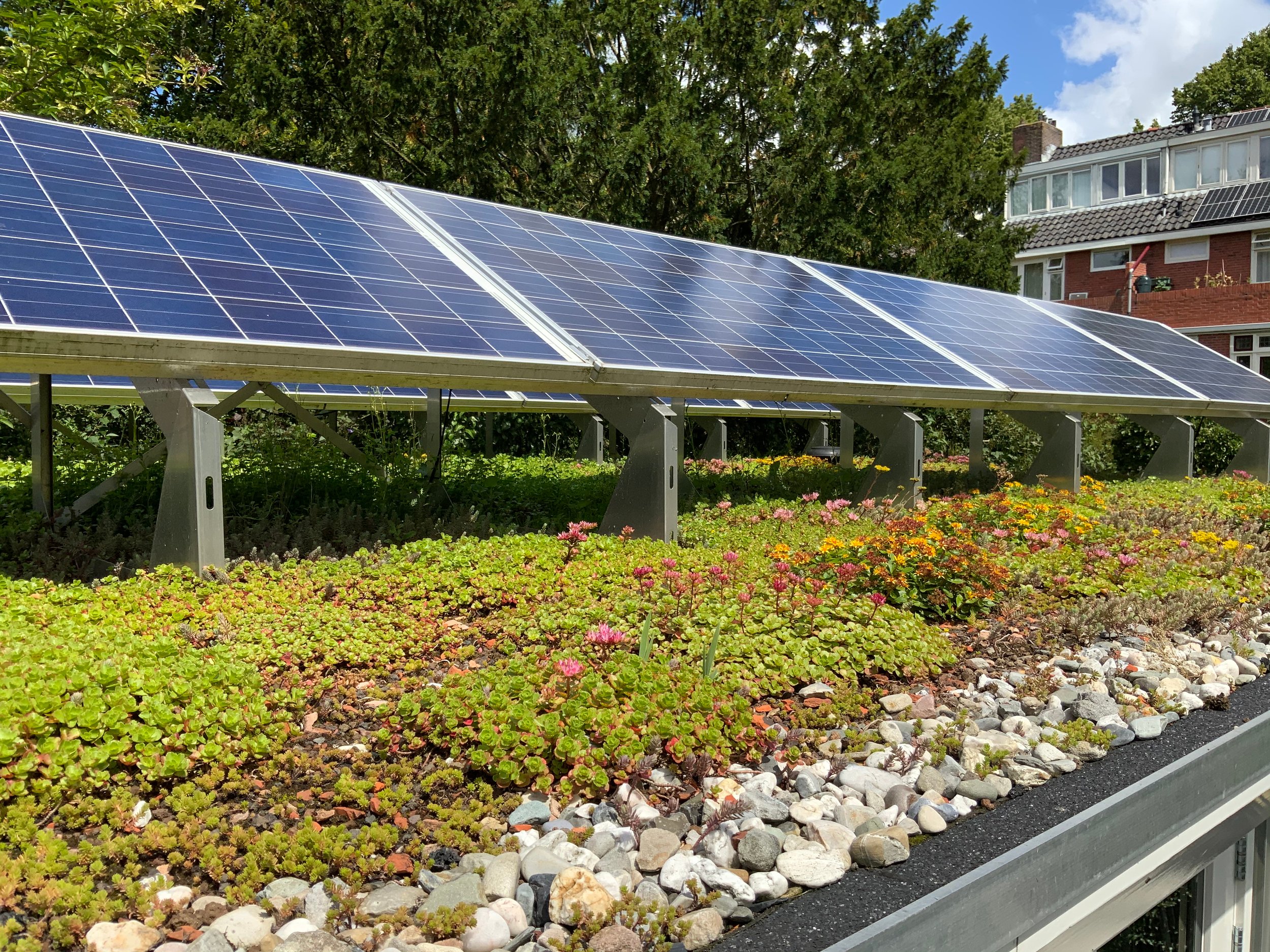 Eu Solar Panel. The World Green Roof infrastructure Network картинки. Солнечный панель Сток фото. Import spring