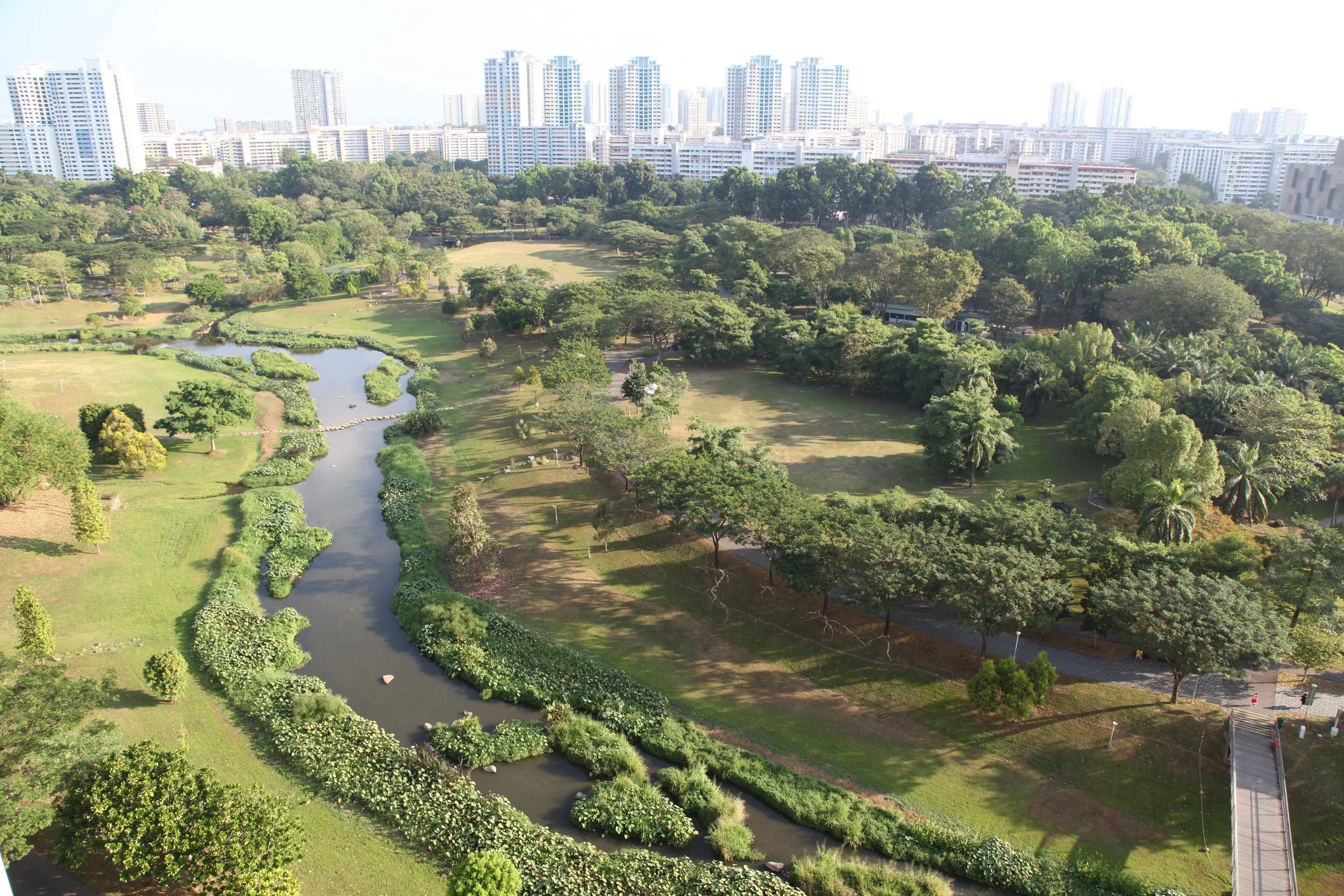 Blue-Green-Sponges in Urbanization – My Lifelong Engagement for Climate Resilient Cities