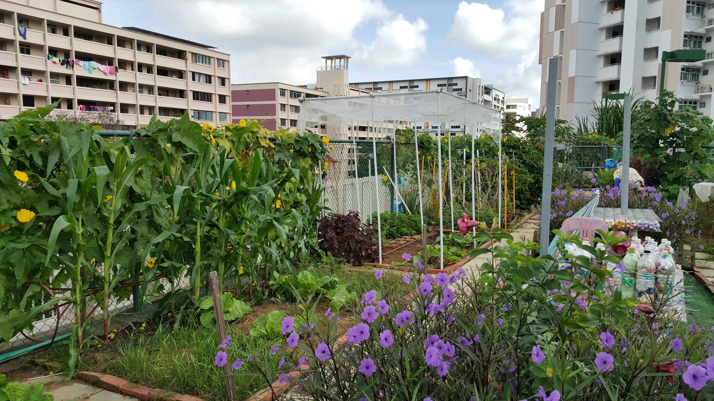European Lawmakers Poised to Include Green Infrastructure in New Rules for Sustainable Buildings