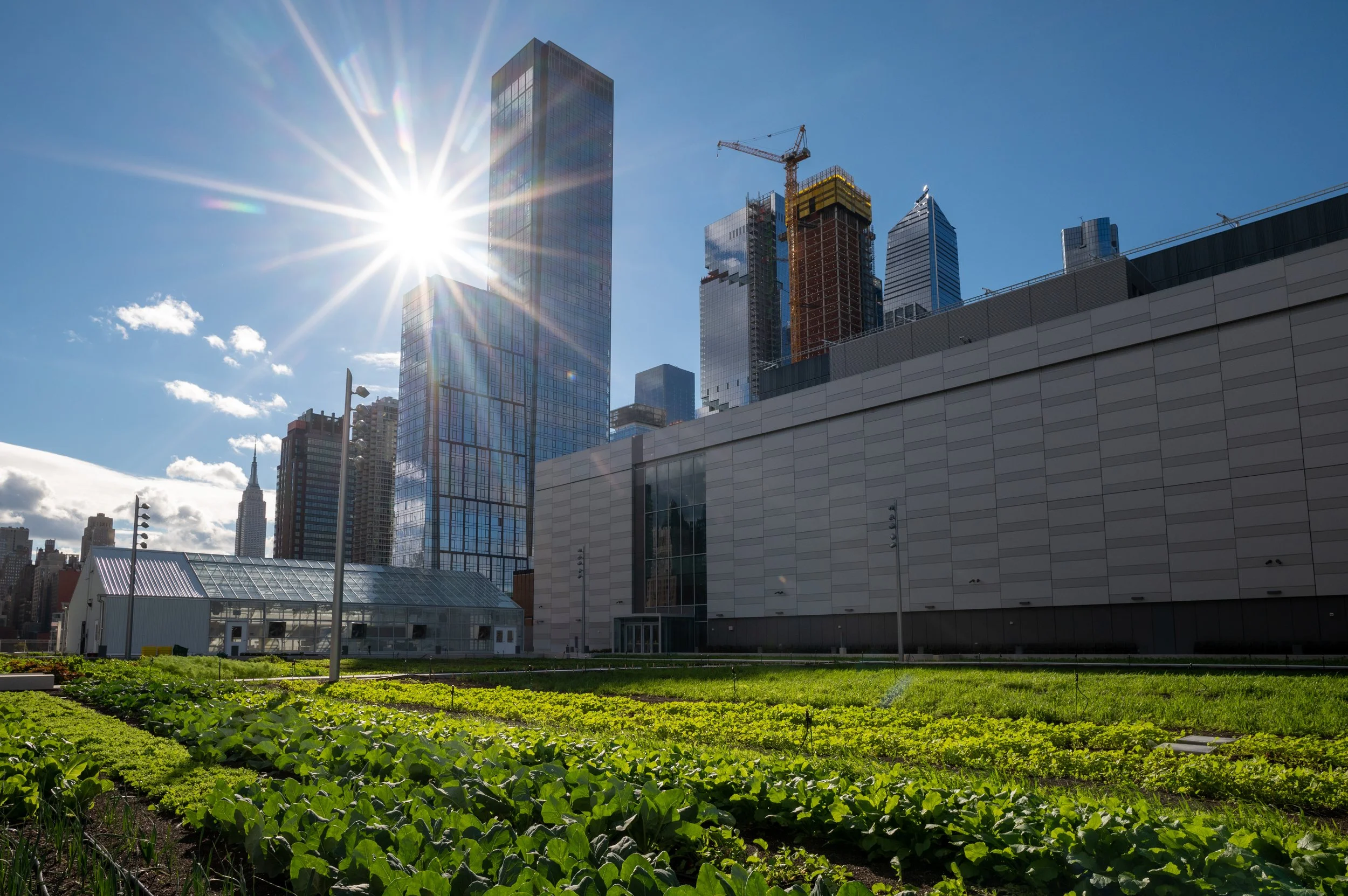 Award Winning and Innovative Rooftop Farming in the Heart of Manhattan
