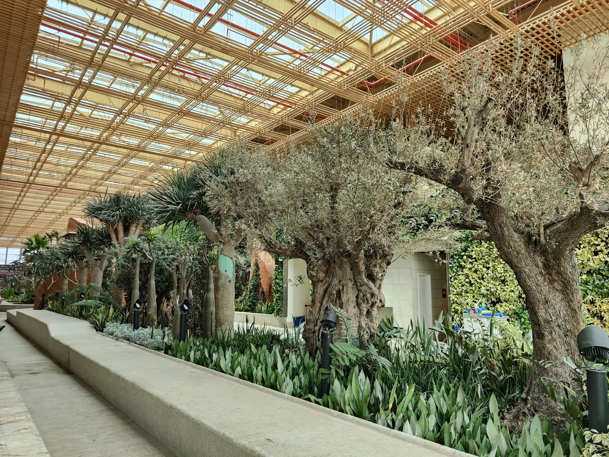 A Terminal In a Garden: Exploring Bangalore’s New Airport