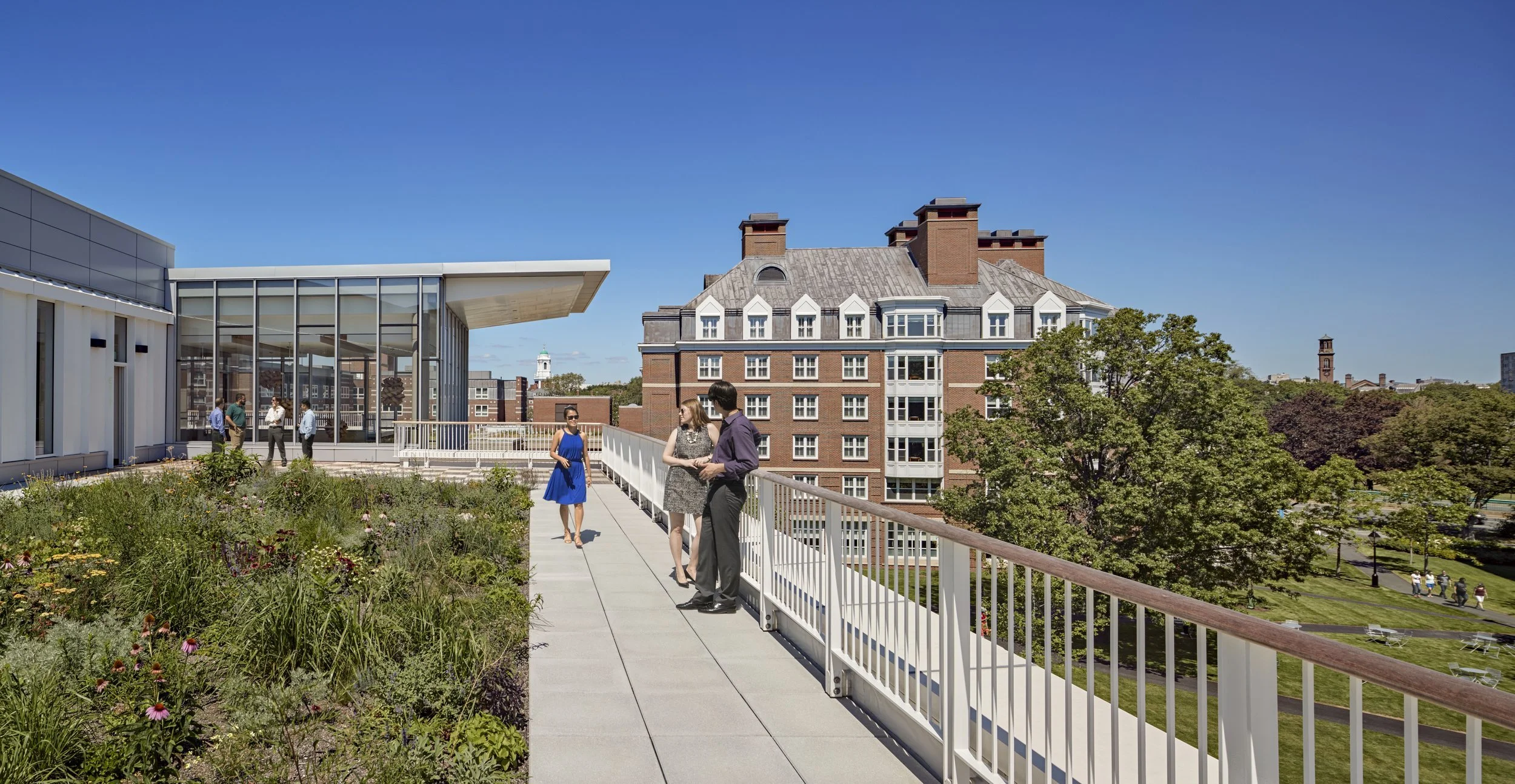 Four Barriers to Implementing Green Roofs – And How to Overcome Them