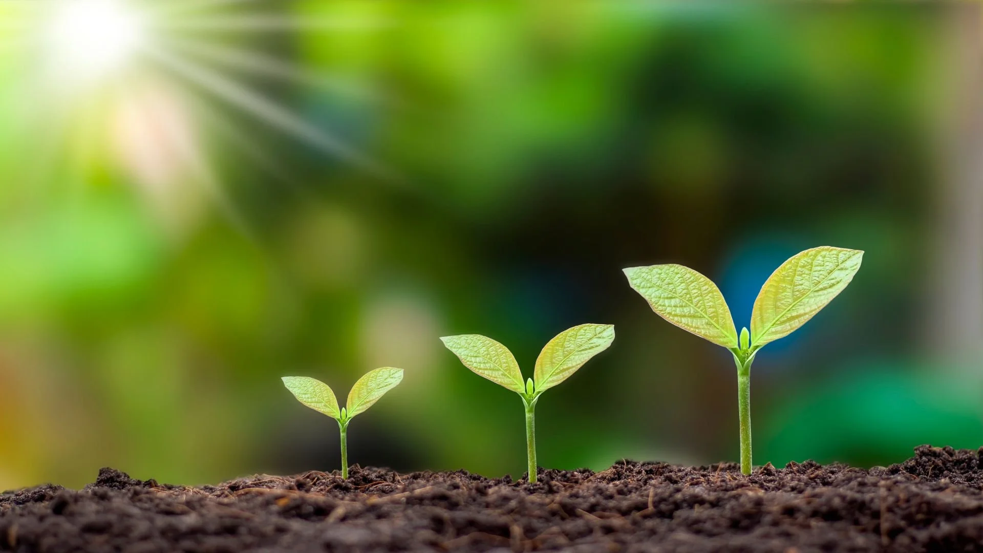 Seven Innovations That Are Speeding the Adoption of Living Architecture Technology