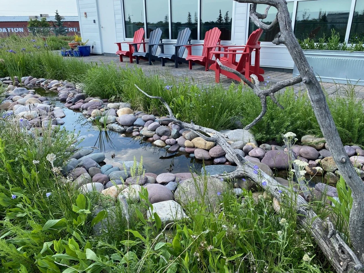 A River Runs Through It: The Value of Water on Biodiverse Green Roofs