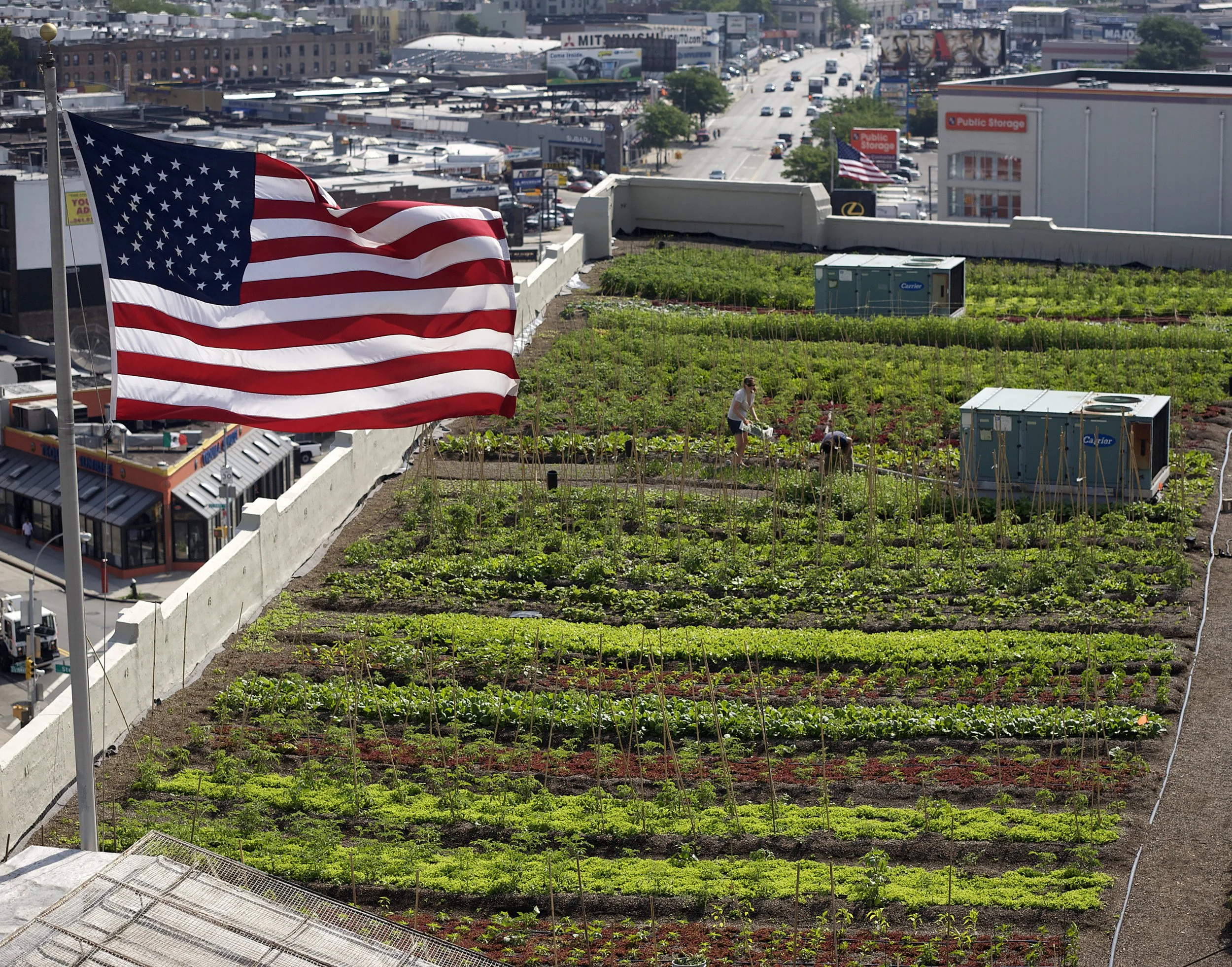 The Development of Skyland USA and Its Green Roofs Legacy&nbsp;