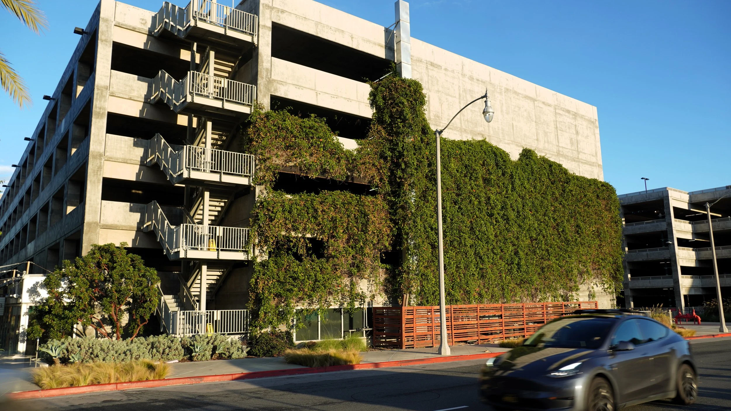 Beautiful green views off of Campus Center Drive in Playa Vista provide biophilic benefits to the public. Photo: A.T. Flournoy