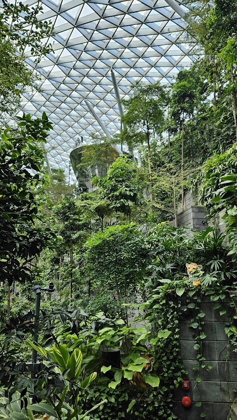 image5.png