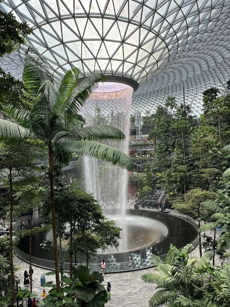 image6.jpg