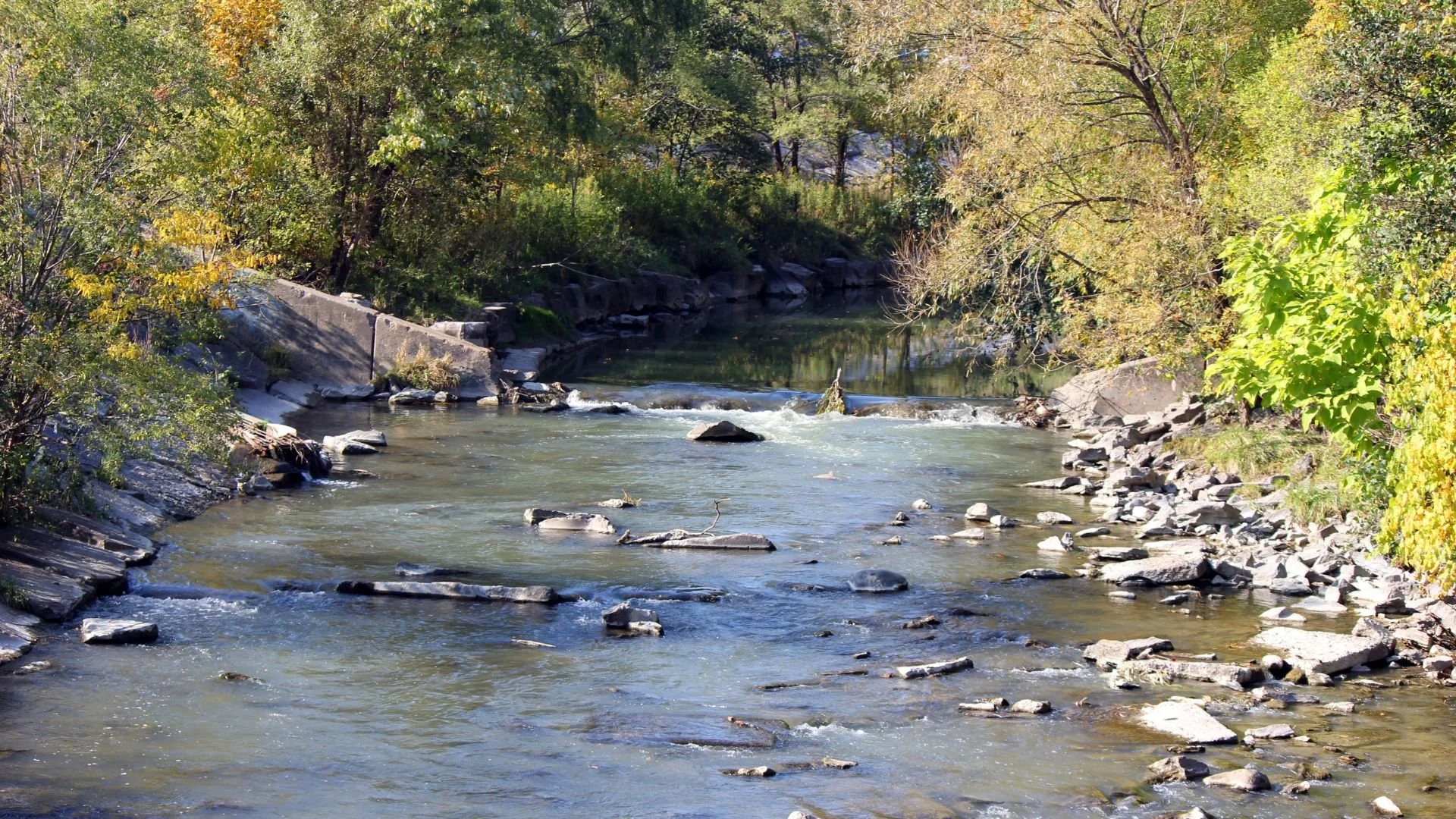 Cities Play a Key Role in Advancing Green Infrastructure Implementation – A Look at Innovative Policies and Capital Projects in the City of Toronto