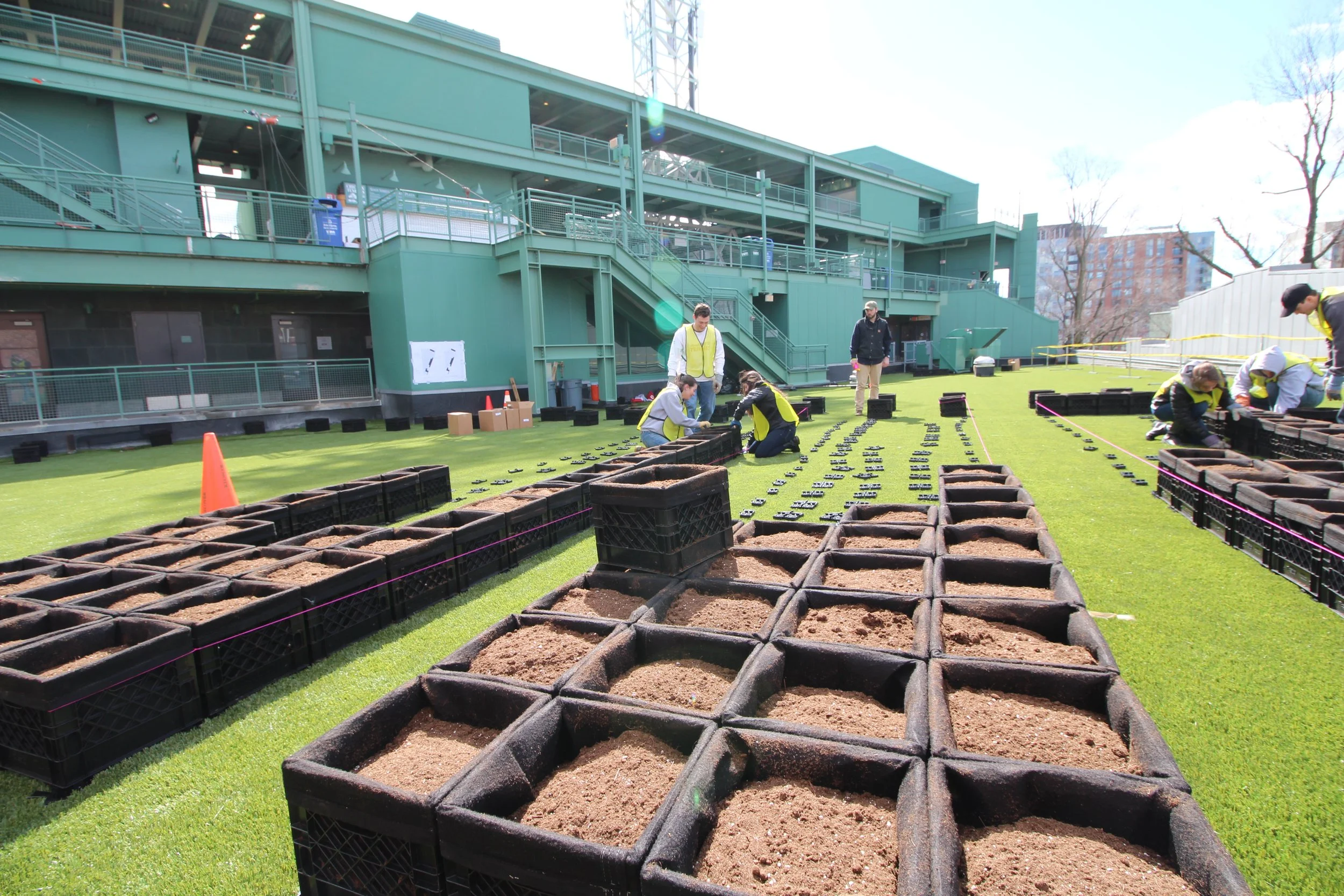 recover-green-roofs-fenway-farms-2014-5.JPG