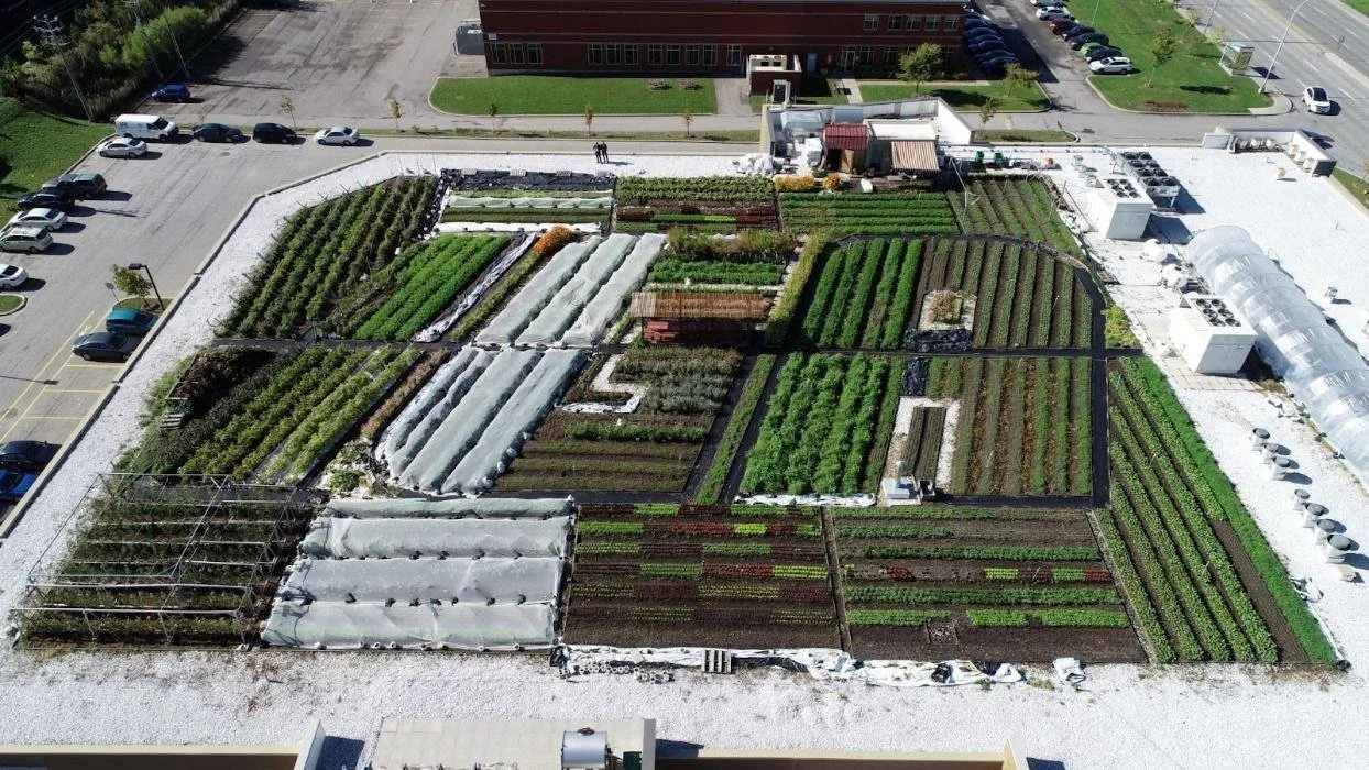 How Soprema’s Green Roof Journey is Interwoven With the Development of the North American Industry