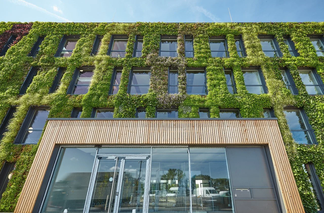 Green Walls: Green Infrastructure That Fights Climate Change
