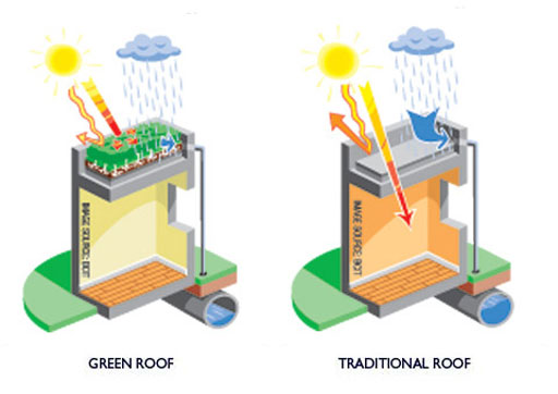 Green Roof Energy Calculator Is Over Ten Years Old and Needs Some Investment