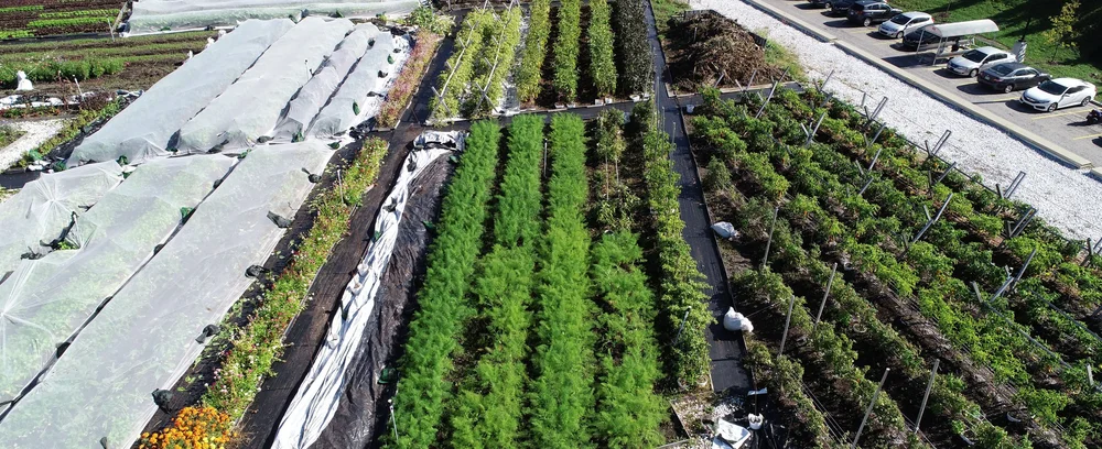 Blog Thumbnail JPG-DJI_0037.jpg