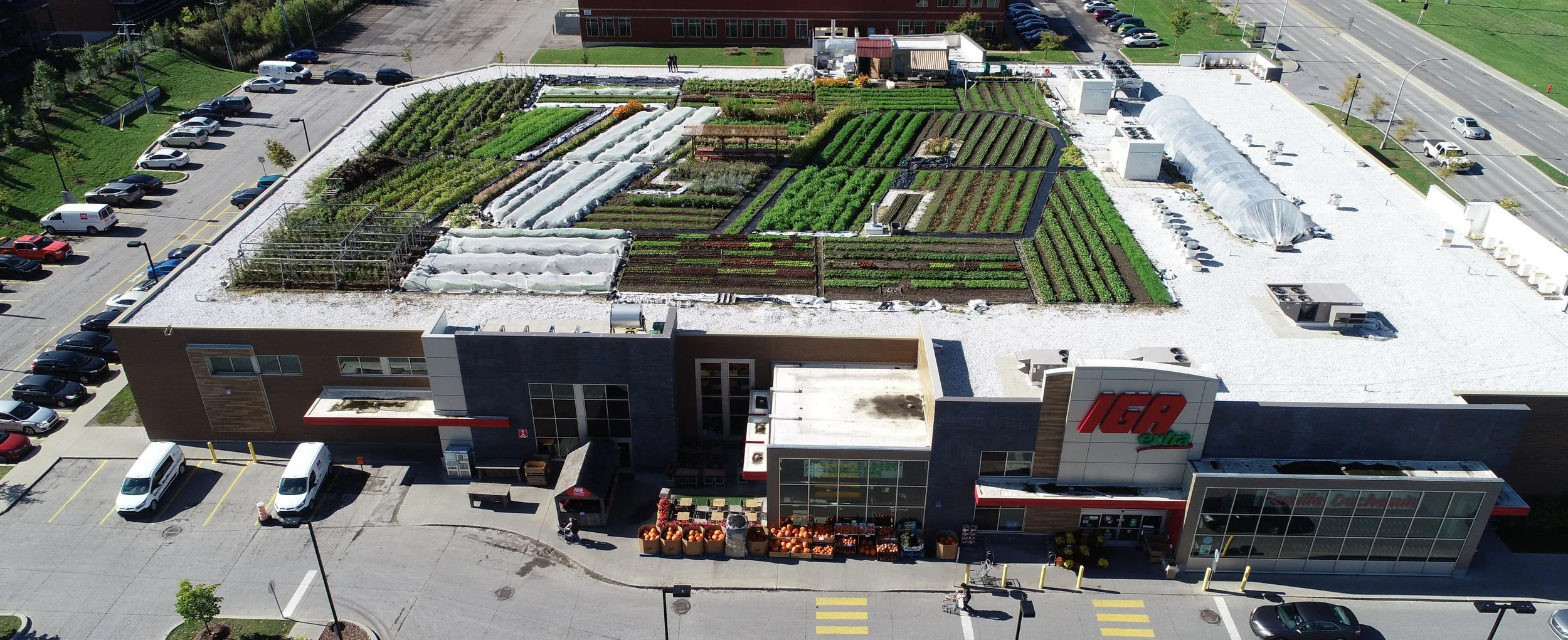Blog Thumbnail JPG-DJI_0020.jpg