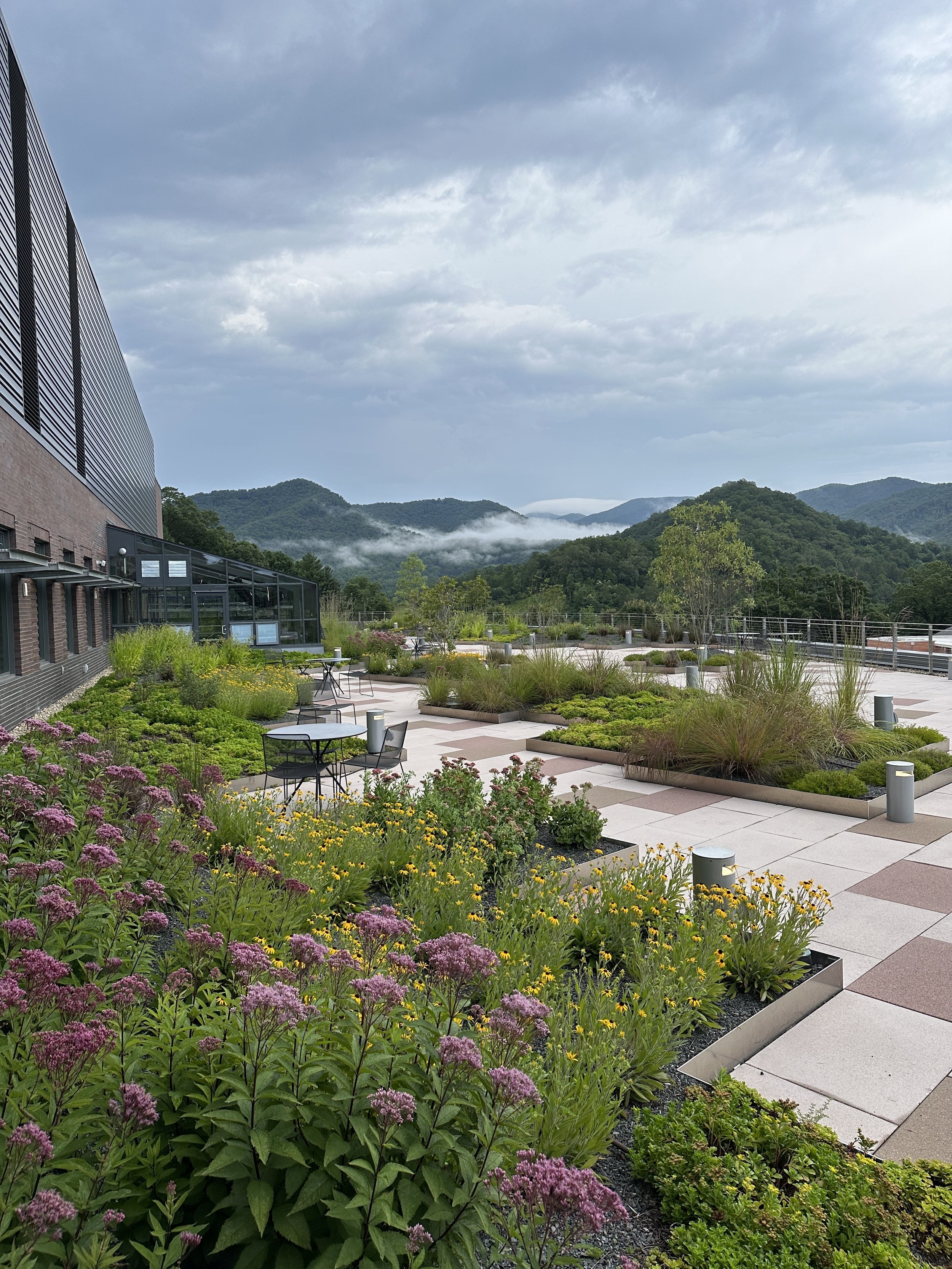 Western Carolina.JPG