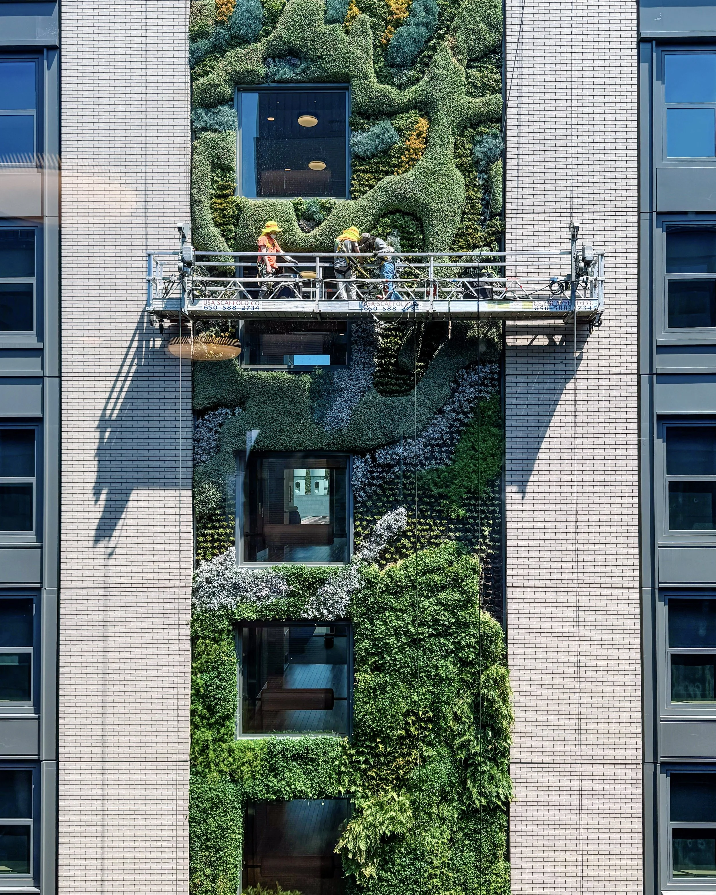 UC Berkeley’s Enormous Green Walls at the New Helen Diller Anchor House