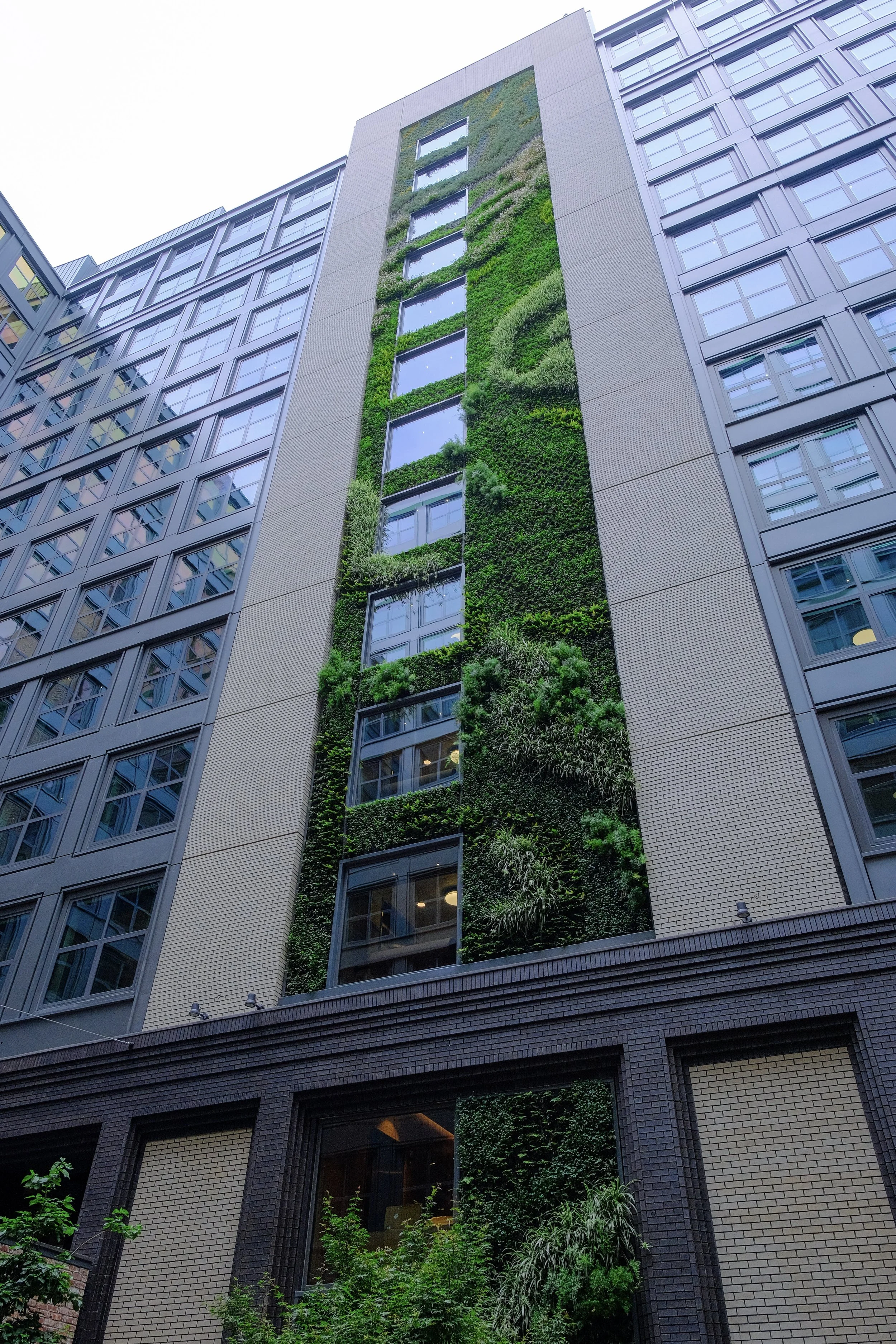 3-DSCF5306.jpg