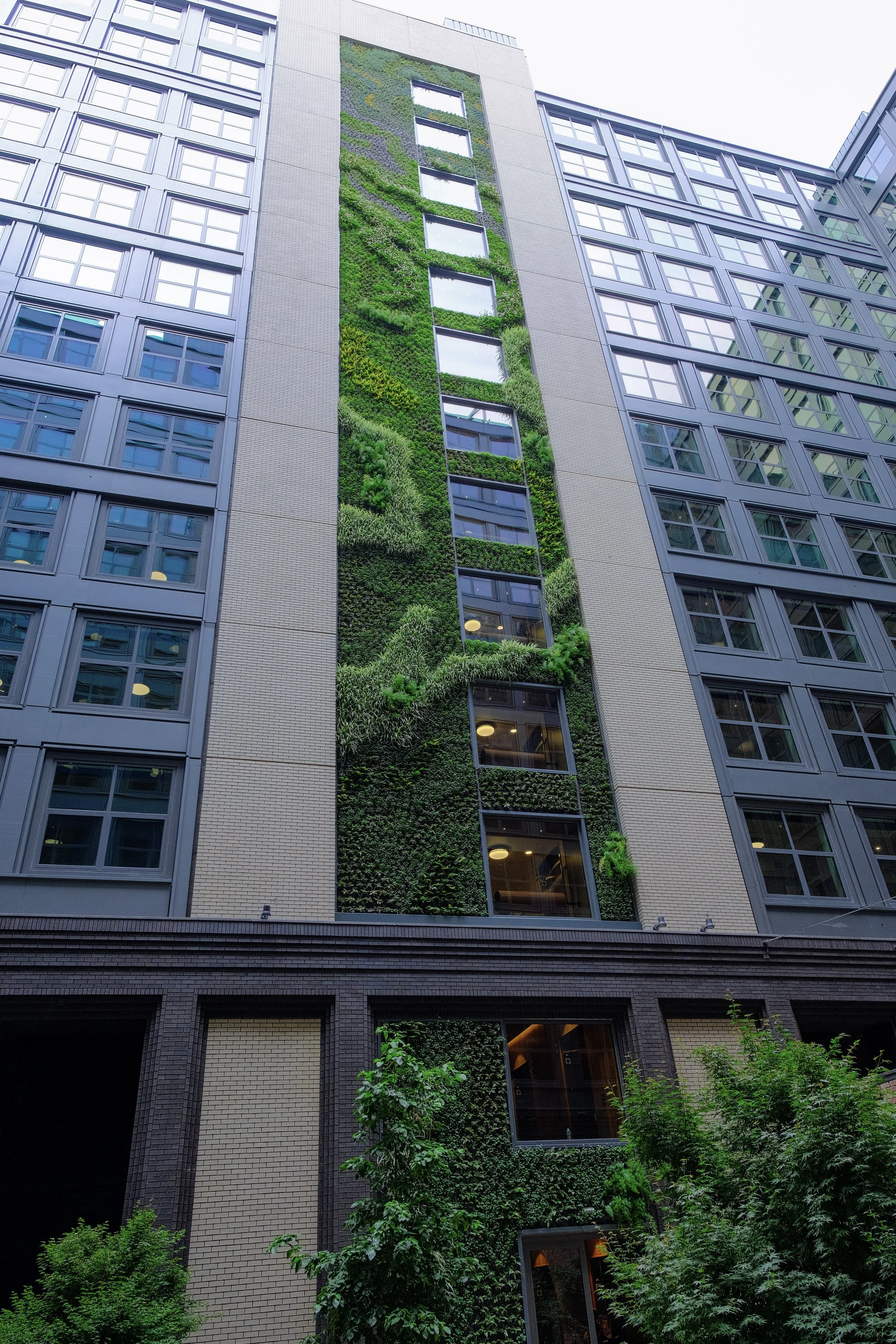 4-DSCF5307.jpg