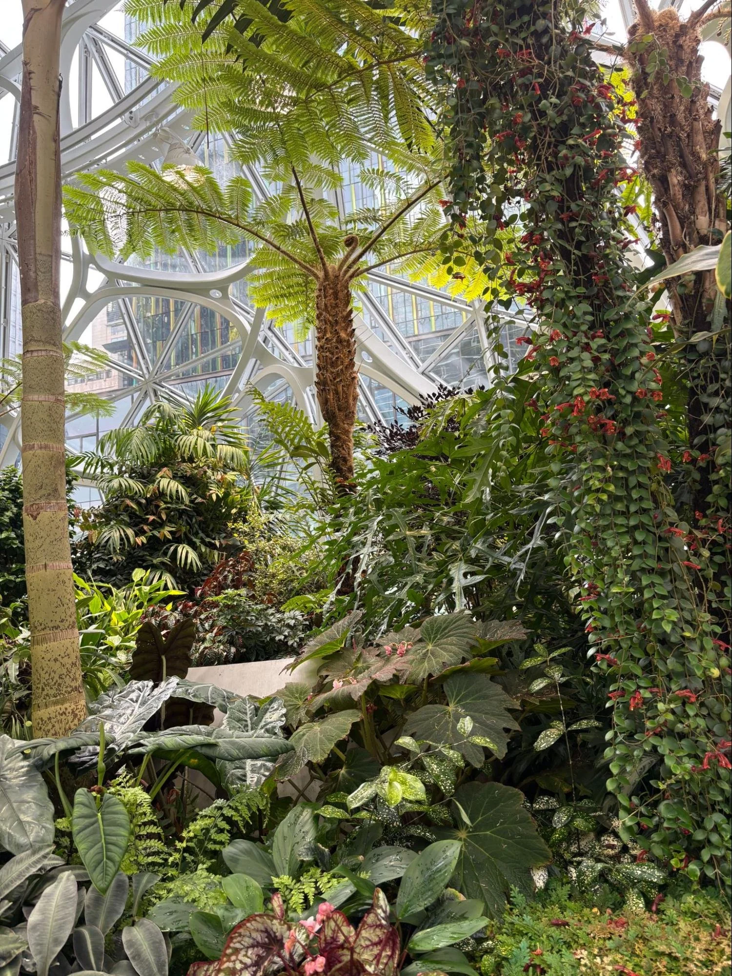 The Biophilic Amazon Spheres Project in Seattle