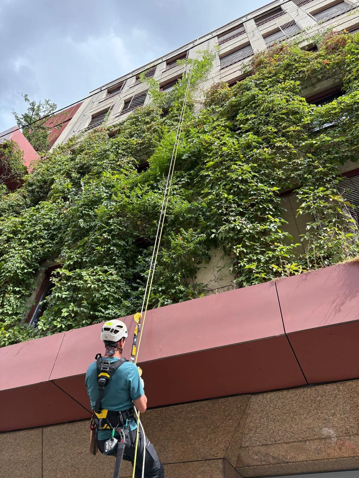 Greenwall-Annenstrasse-Maintenance_2025-6.jpg