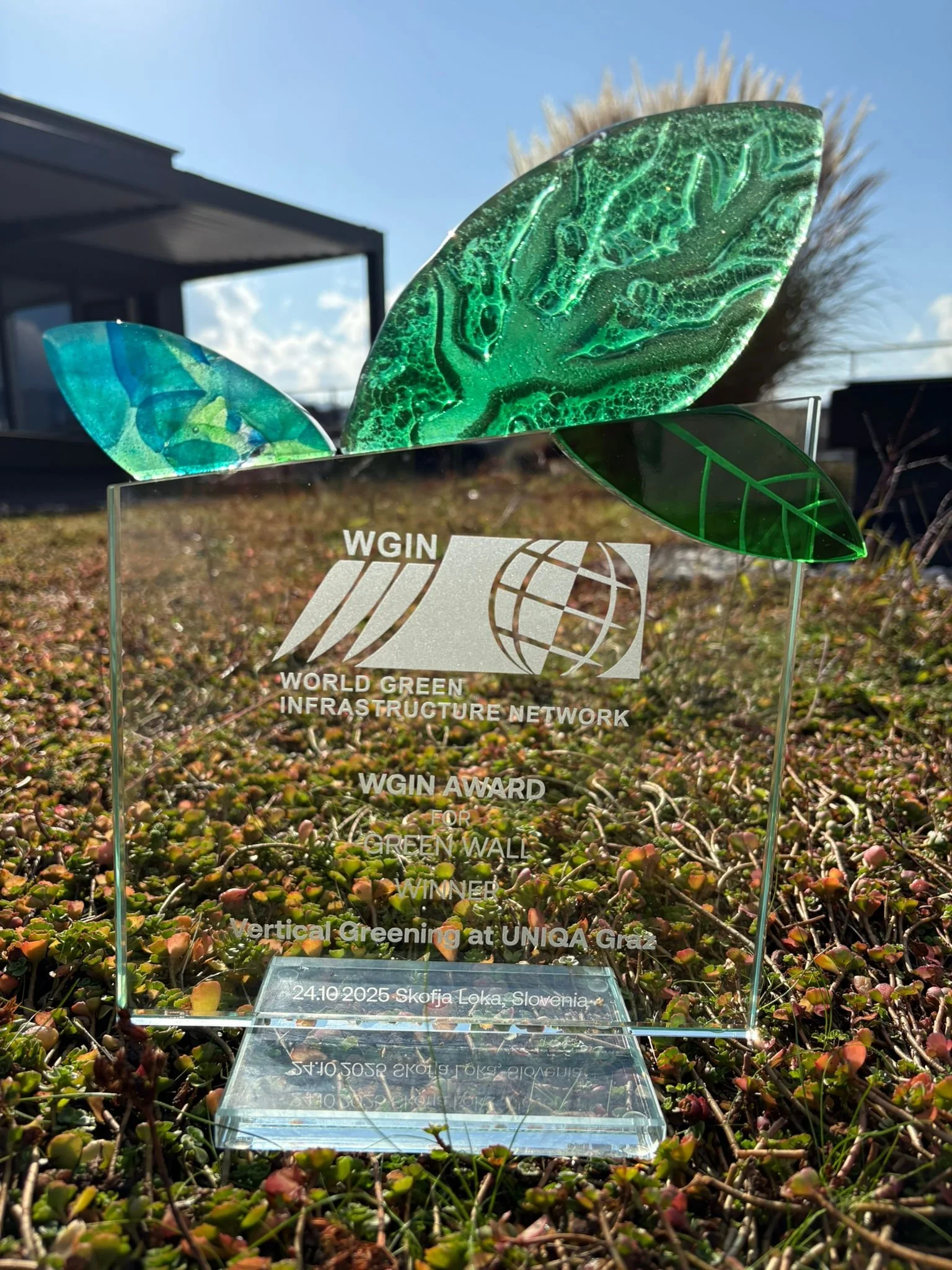 WhatsApp Image 2025-10-24 at 14.29.14.jpeg