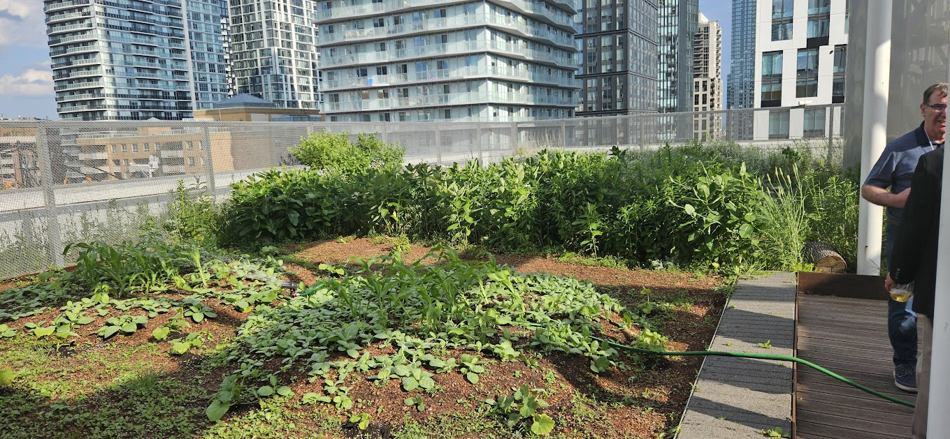 Upheaval and Innovation: The Legacy of Toronto’s Green Roof By-Law and the Threatened Green Standards