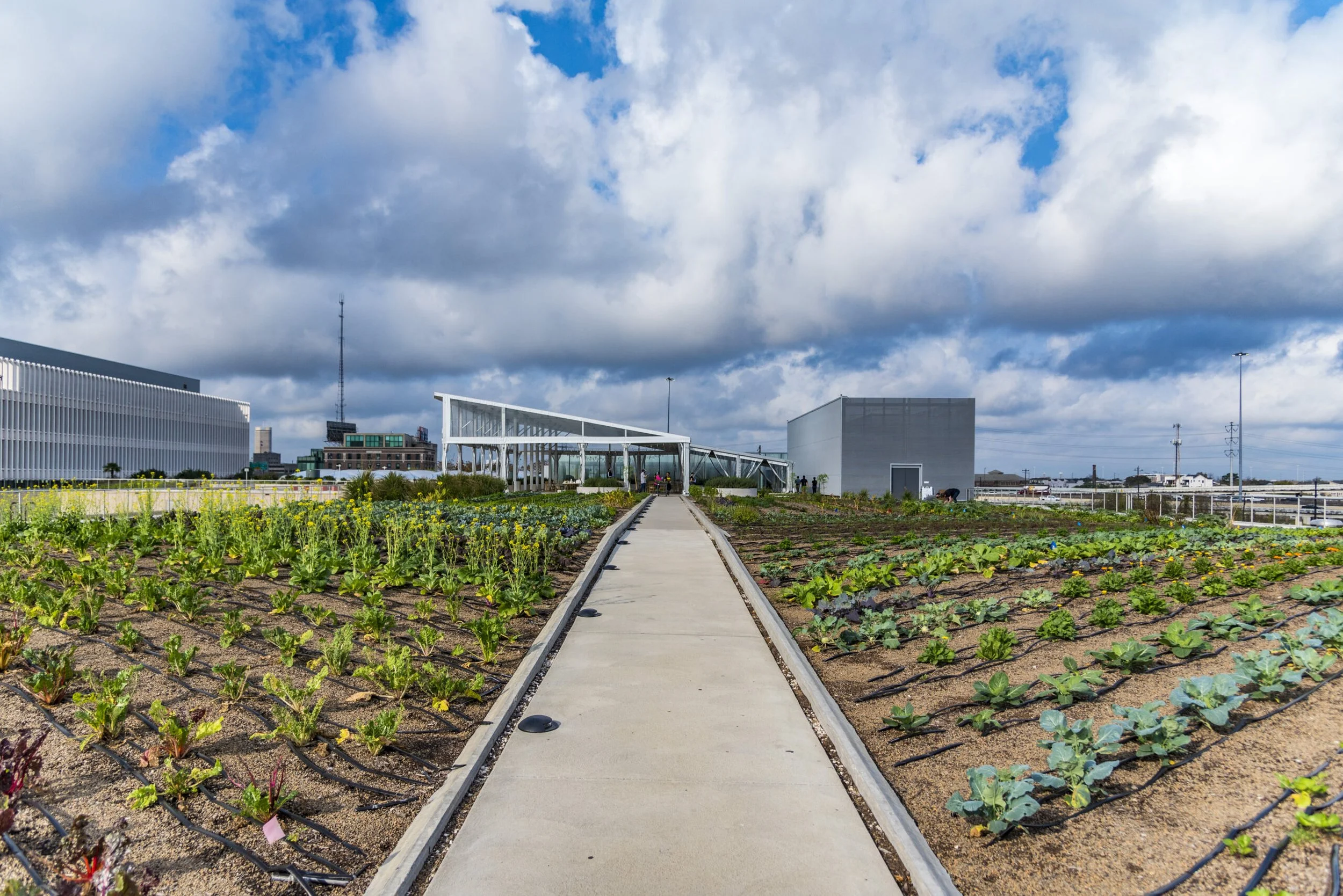 What Blackwood’s Skyfarm at POST HTX is Teaching us About Urban Agriculture