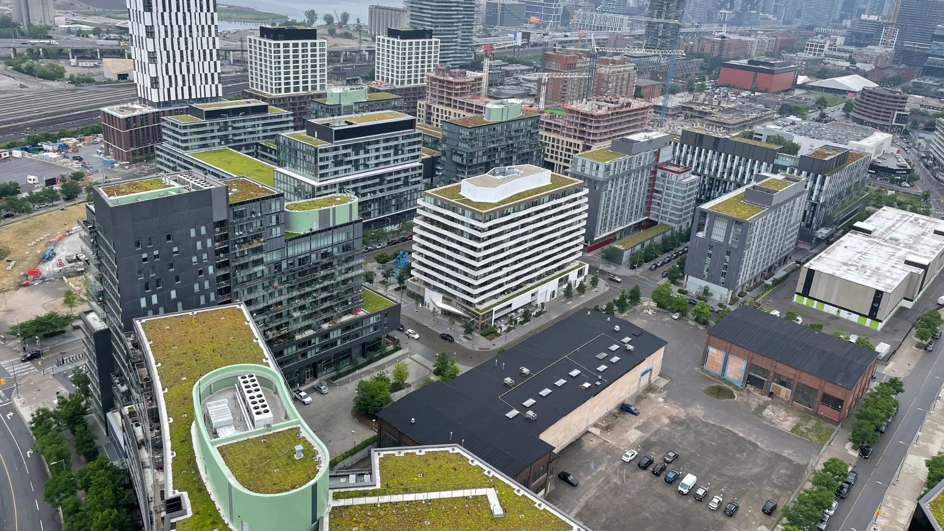 Green Roofs for Healthy Cities Launches New Editorial Board for Living Architecture Monitor