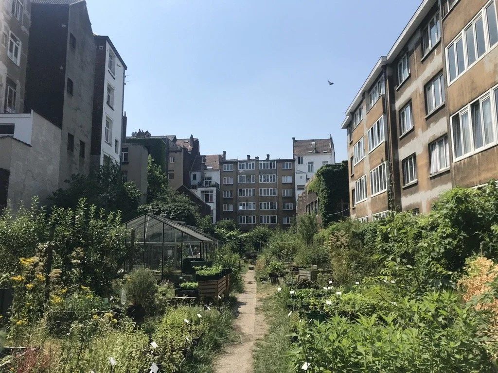 Why Insurers Have a Critical Stake in Greener Buildings and Landscapes