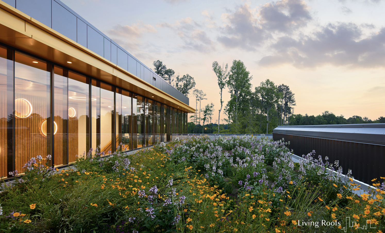 Sky-High Returns: The Economic and Social Case for Green Roof Amenity Space