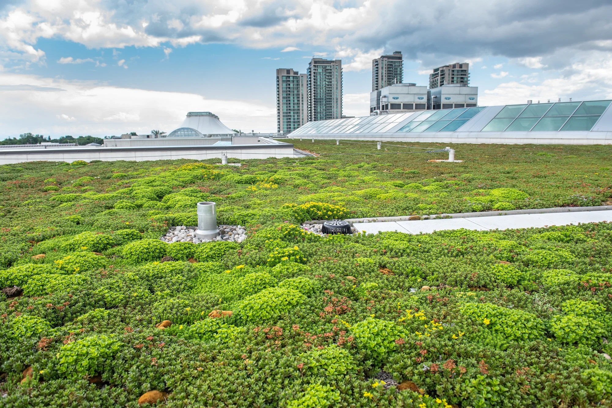 Utilizing Green Roofs to Achieve Municipal Stormwater Compliance