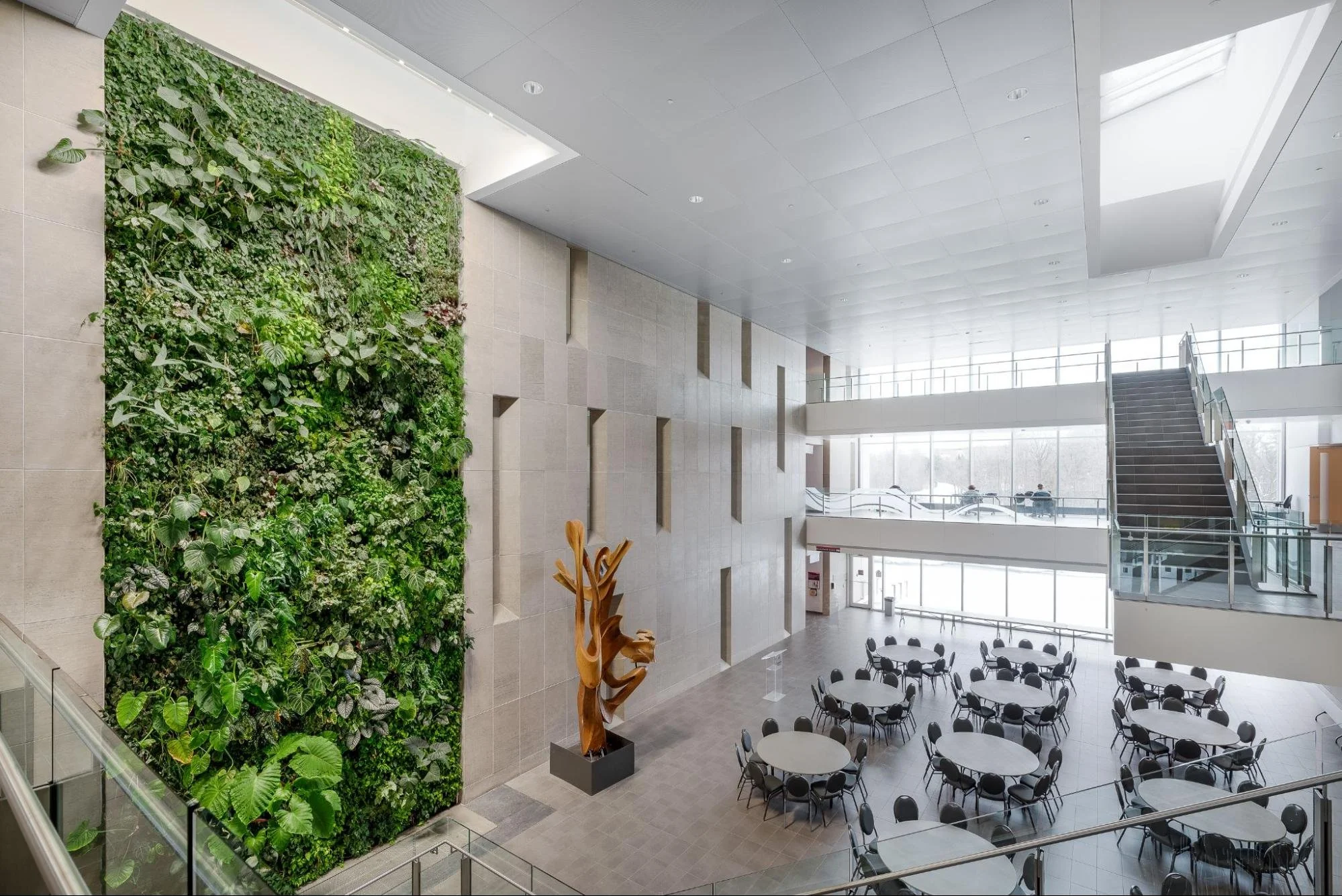 The Water Behind the Wall: Choosing the Right Irrigation System for Living Plant Walls