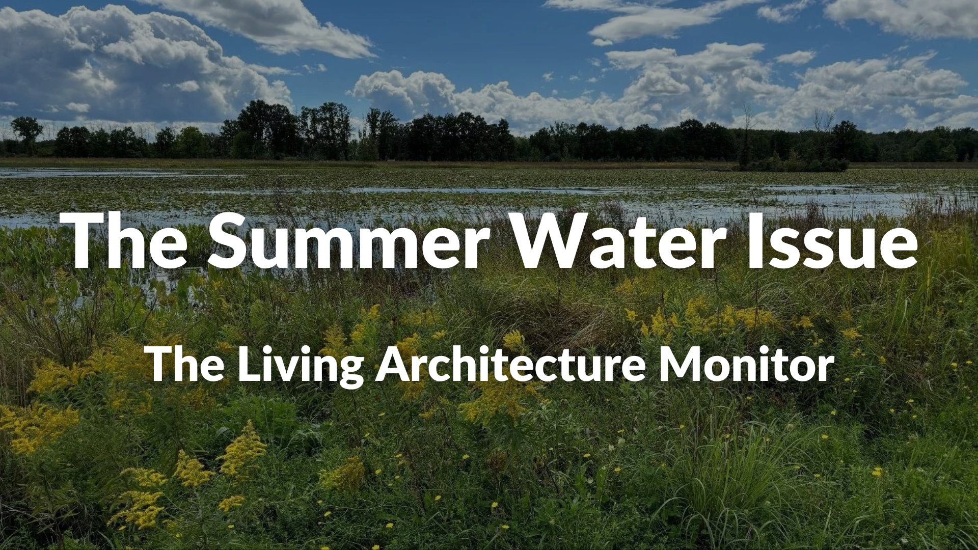 Green Roofs for Healthy Cities Launches the Summer 2026 Water Issue of Living Architecture Monitor Magazine