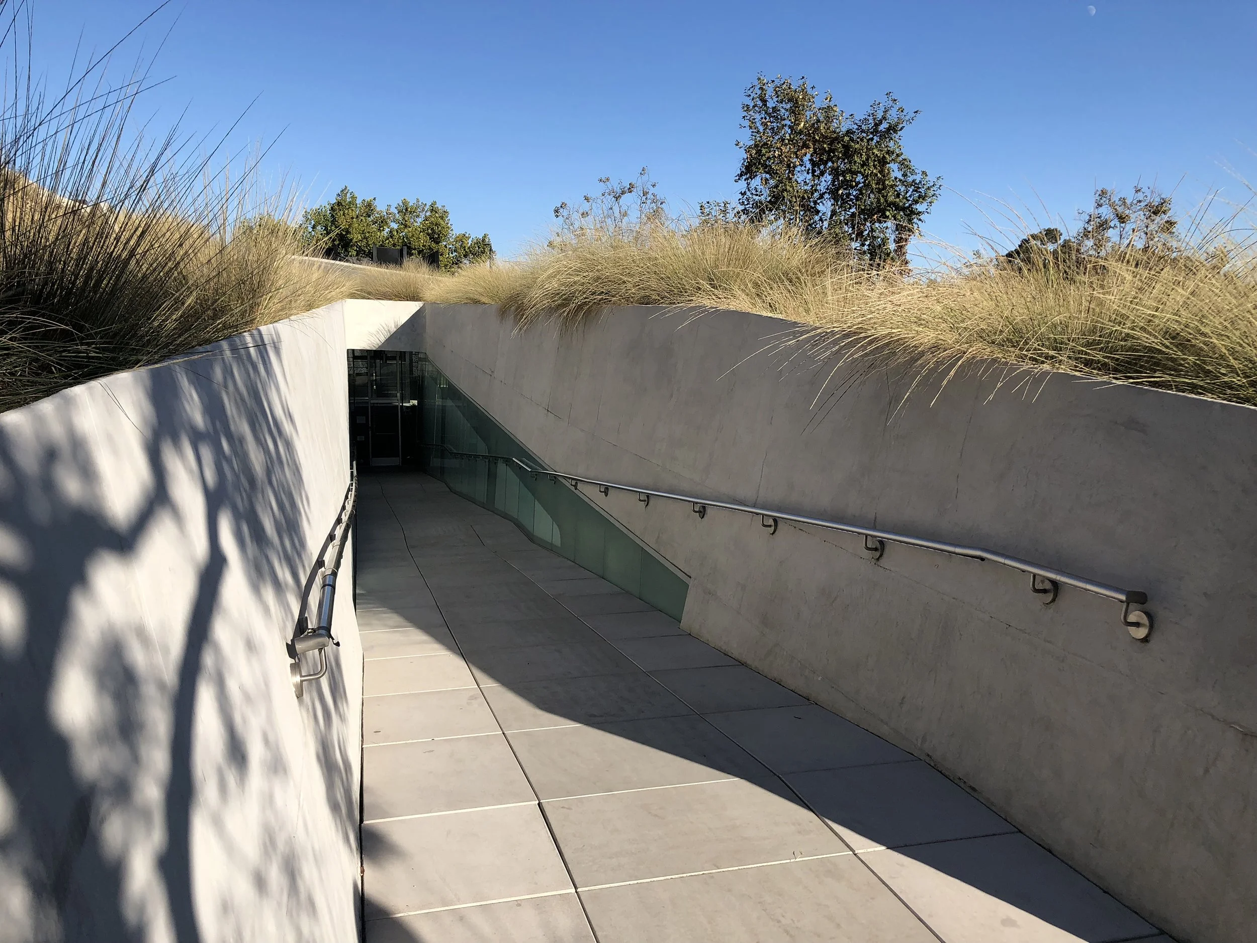 Planting Green Roofs for Biophilic Effects