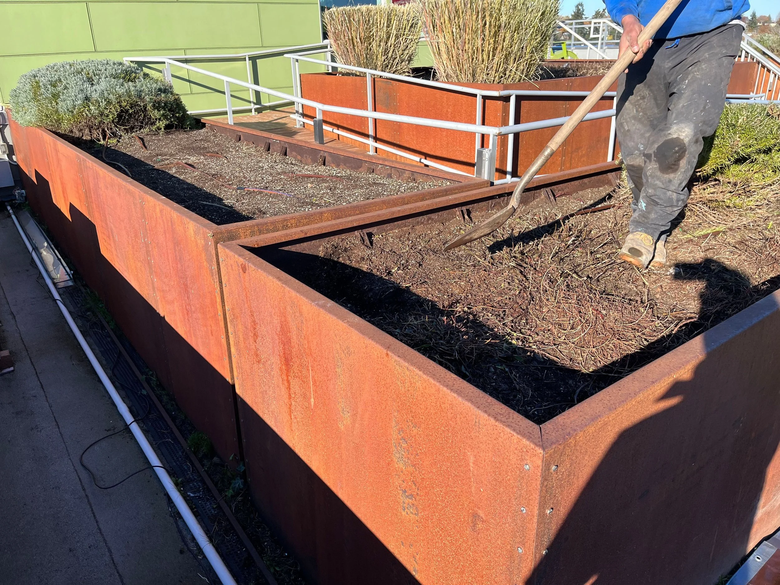 Planting soil, not growing media installed, Soil shrinkage in planter. Planter doesn't drain properly and plants die.