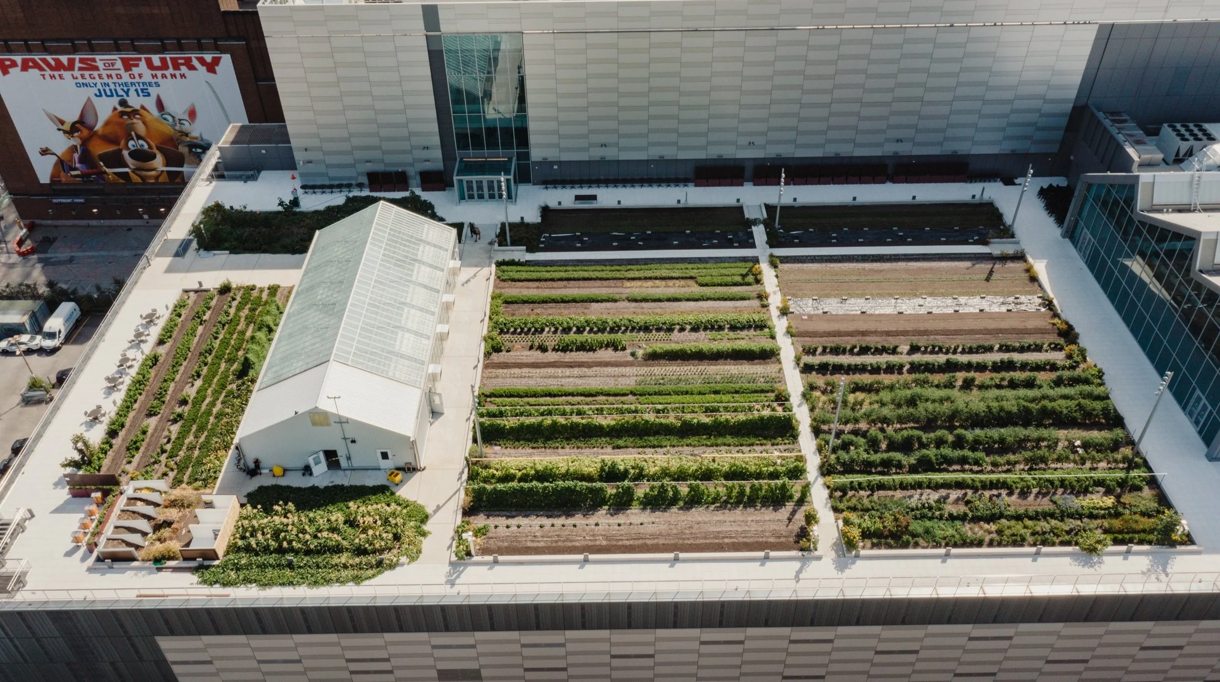 Award Winning and Innovative Rooftop Farming in the Heart of Manhattan