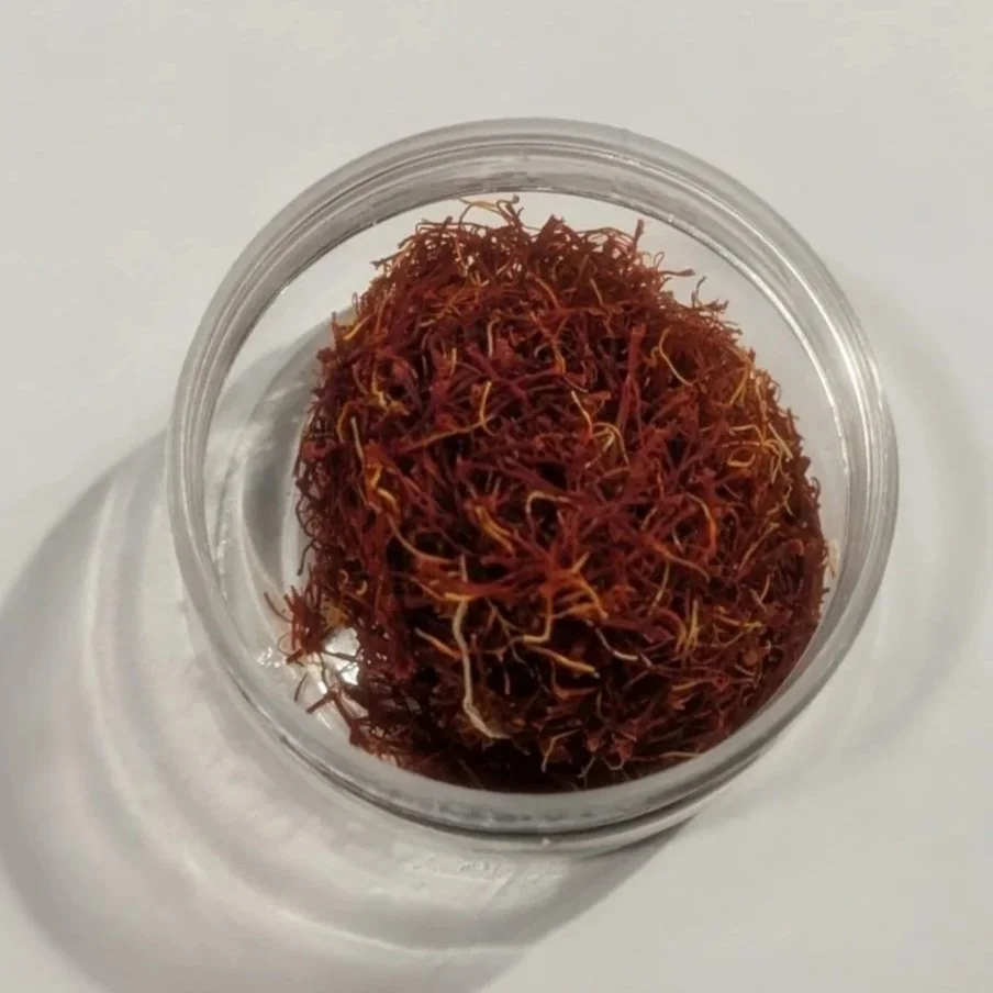 Dried Stigmas Harvested from Saffron Flowers, Photo Courtesy of Reece L. Bailey 2025