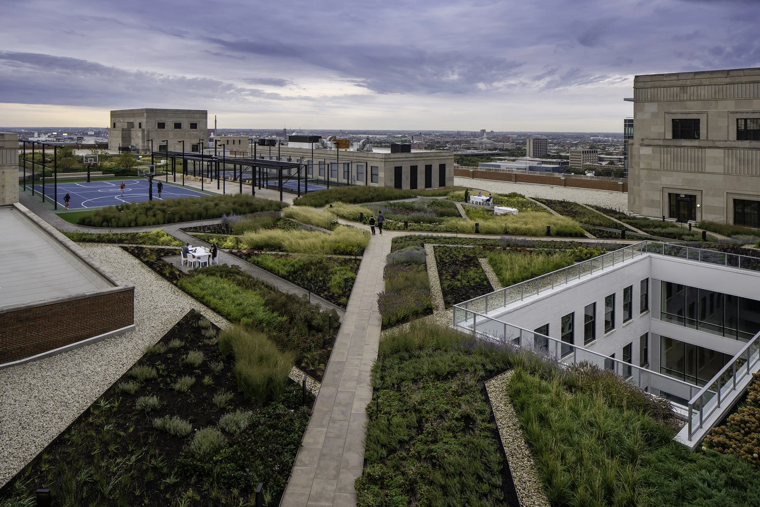 Rooftop meadow plants succeed in only 6 inches of media when part of a green roof system- with lightweight growing media and a drainage layer. 